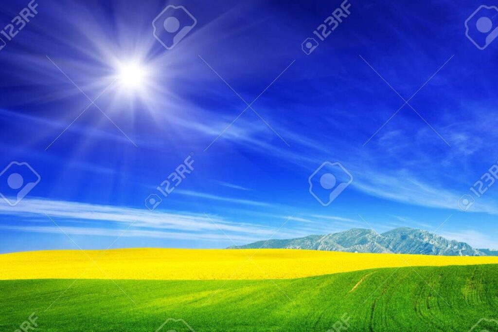 una imagen de un sol brillante y colorido sobre un campo verde lleno de flores y mariposas