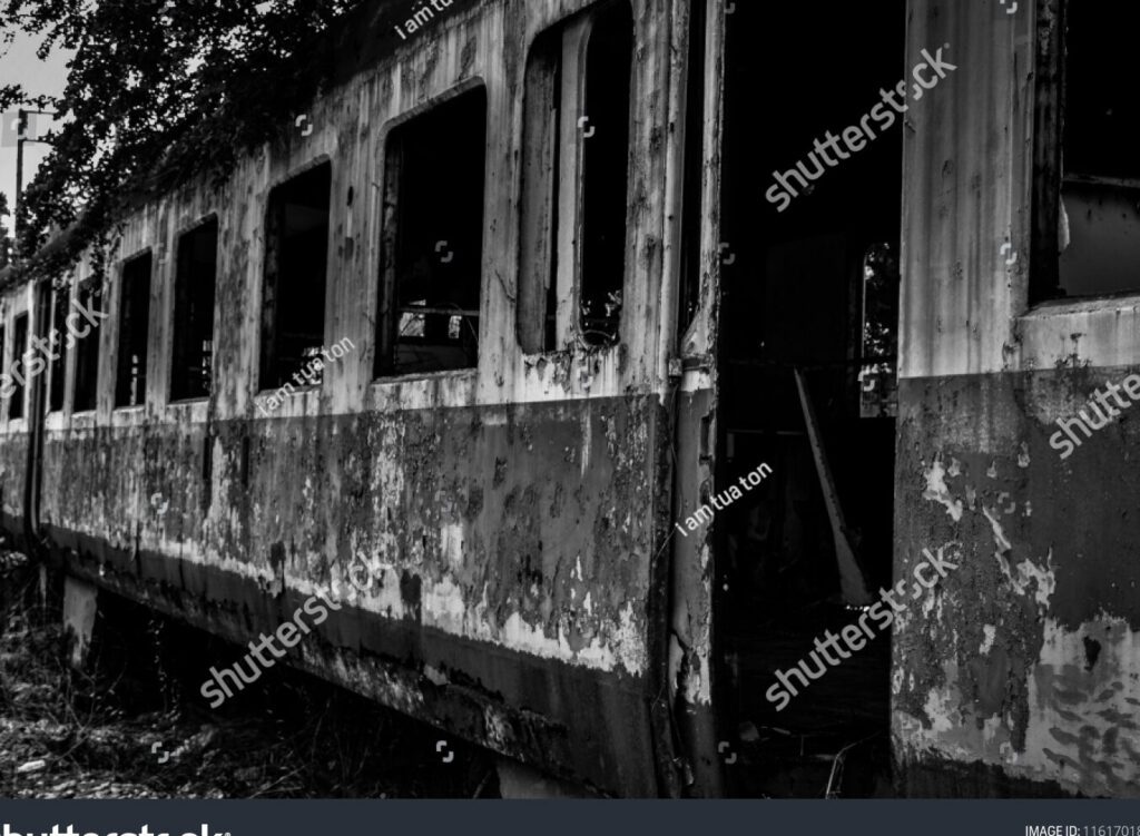 Descubre al asesino en el Orient Express: ¿Quién lo hizo? 6 Descubre al asesino en el Orient Express: ¿Quién lo hizo?