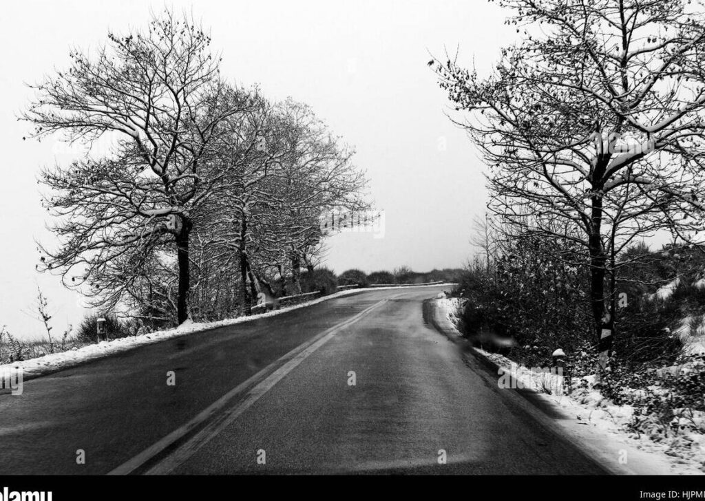 Letra de Al lugar donde fuiste feliz no debieras volver»