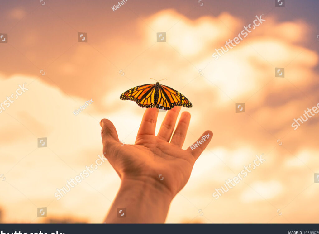 una imagen de una mano abierta dejando caer una mariposa al aire