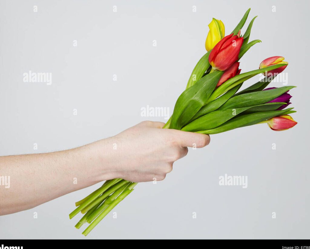 una imagen de una mano entregando una rosa a otra mano en senal de amistad