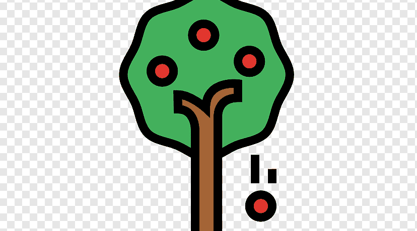 La Ley de la Gravedad: Descubre cómo funciona y su importancia