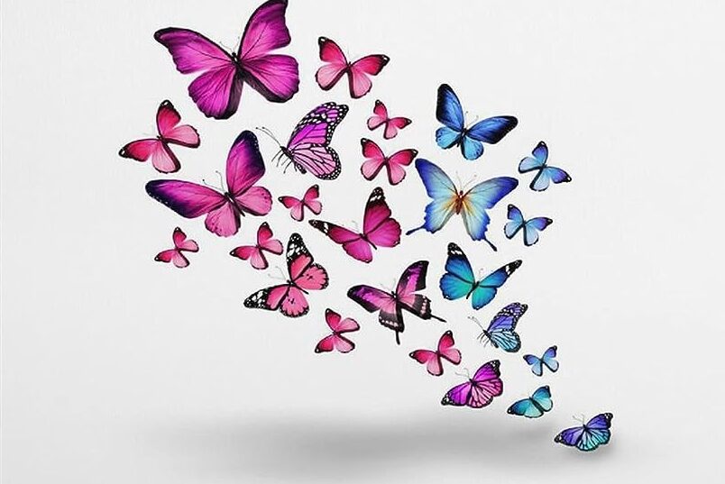 Libérate de las críticas y abraza tu individualidad