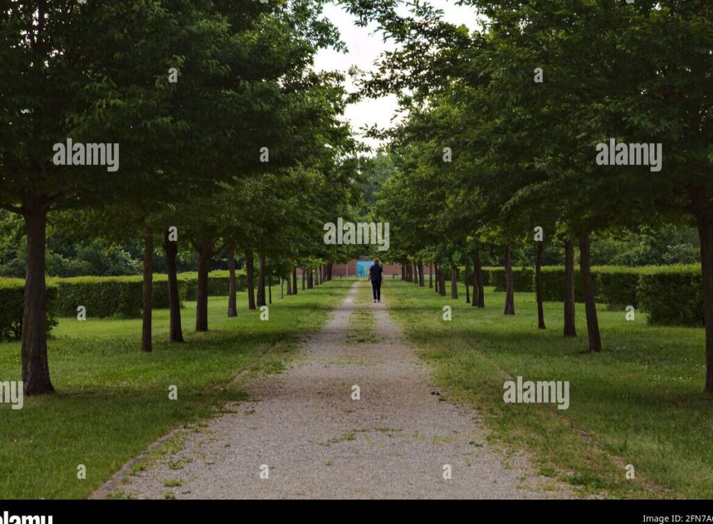 Reinicia tu vida: Cómo cerrar ciclos y comenzar de nuevo