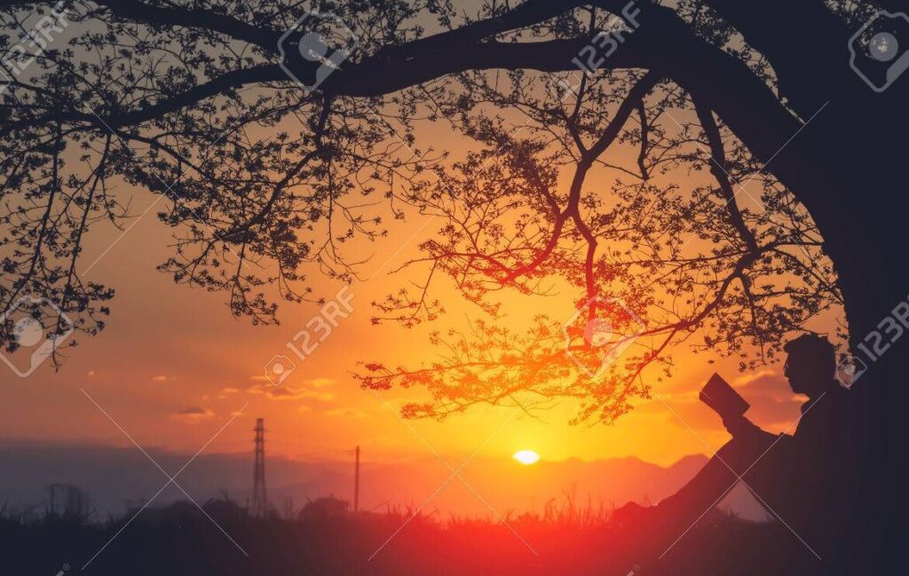 Frases inspiradoras para expandir tus horizontes literarios