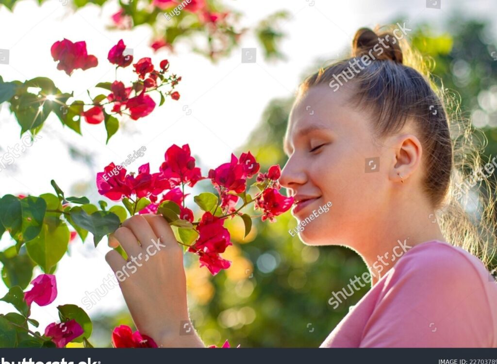 Mensajes de amor y apoyo para una pronta recuperación de tu amiga