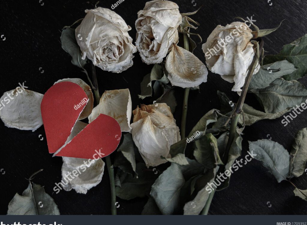 Sanando las ausencias: una guía para encontrar consuelo y seguir adelante 6 Sanando las ausencias: una guía para encontrar consuelo y seguir adelante