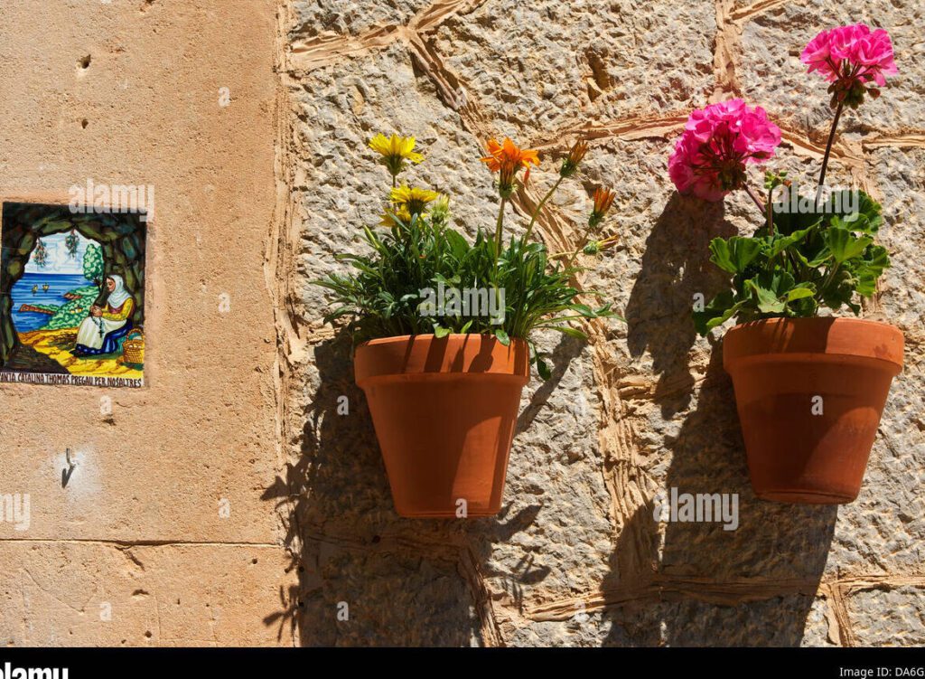 El significado de el que nace para maceta no pasa del corredor»