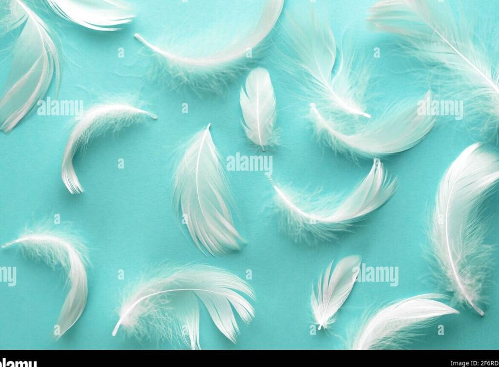 Aprende a escribir un poema especial para tu quinceañera