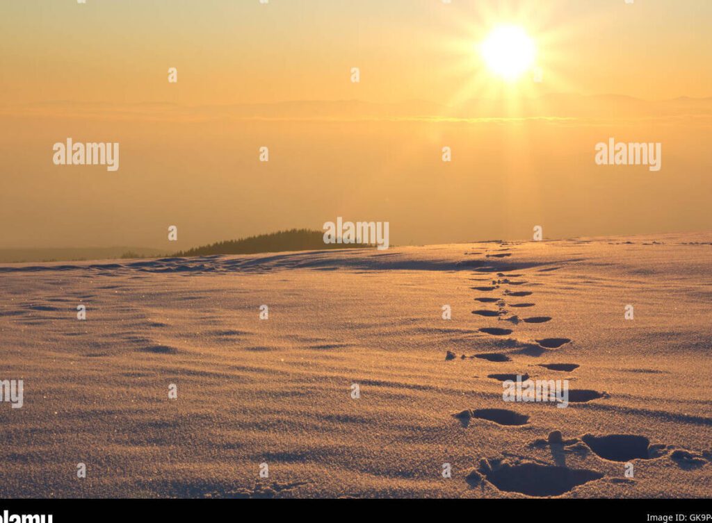 Frases inspiradoras para aceptar lo inevitable: Encuentra paz y fortaleza