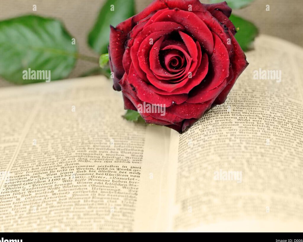 Pasión y tragedia: Los poemas de Shakespeare en Romeo y Julieta 3 Pasión y tragedia: Los poemas de Shakespeare en Romeo y Julieta