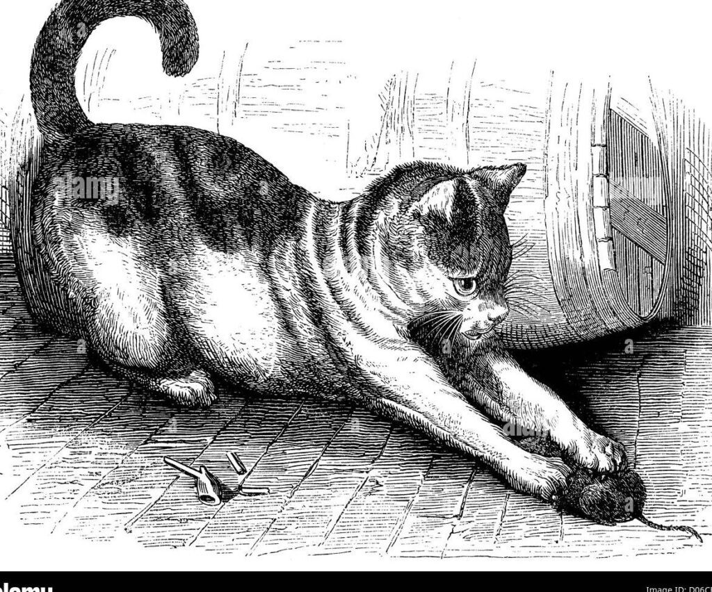 Encuentra El gato y el ratón»: el clásico de la literatura»