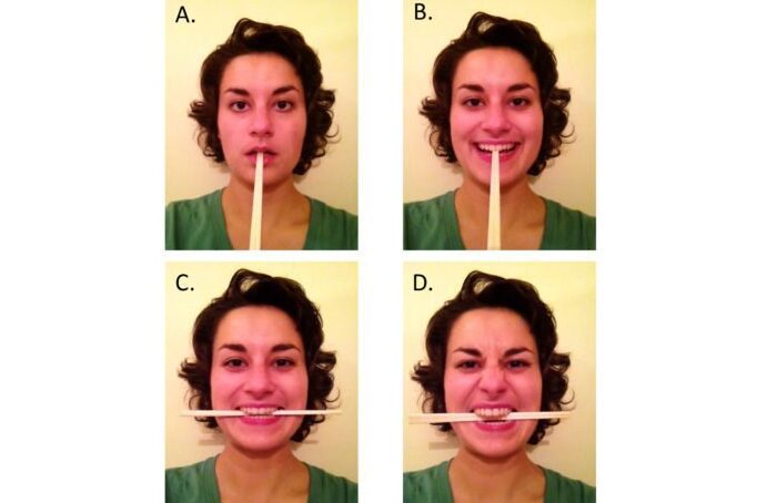 La verdad oculta detrás de La fiesta del chivo": análisis y reflexiones" 6 La verdad oculta detrás de La fiesta del chivo»: análisis y reflexiones»