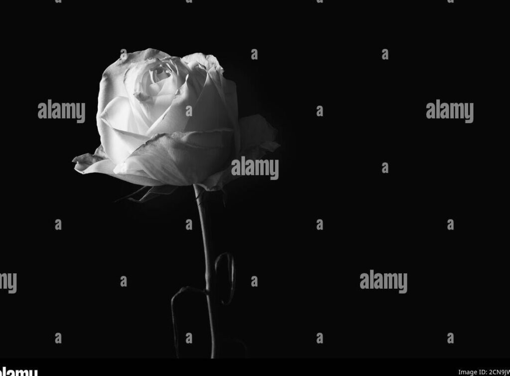 Poemas tristes de la vida en formato corto: sentimientos en versos