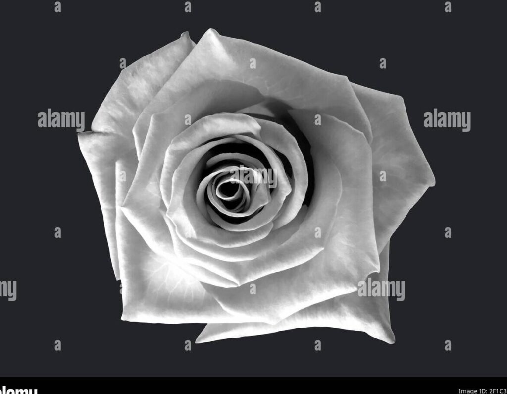 Frases de condolencias para el fallecimiento de un padre 4 Frases de condolencias para el fallecimiento de un padre