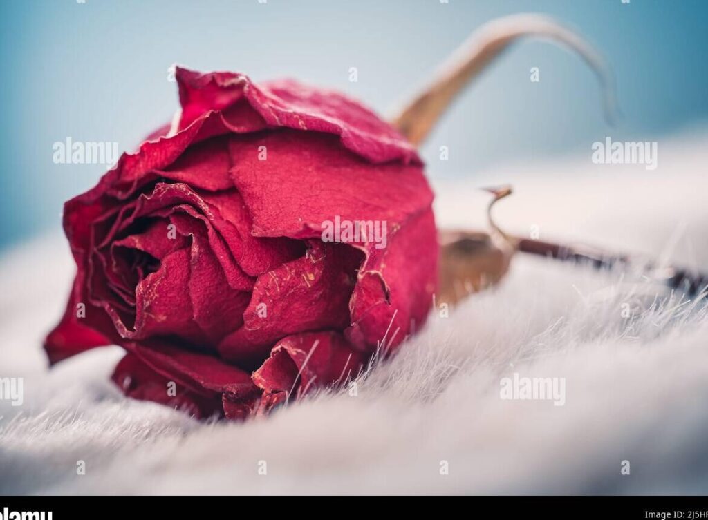 Abril, el mes más cruel: ¿Por qué se dice así? 5 Abril, el mes más cruel: ¿Por qué se dice así?