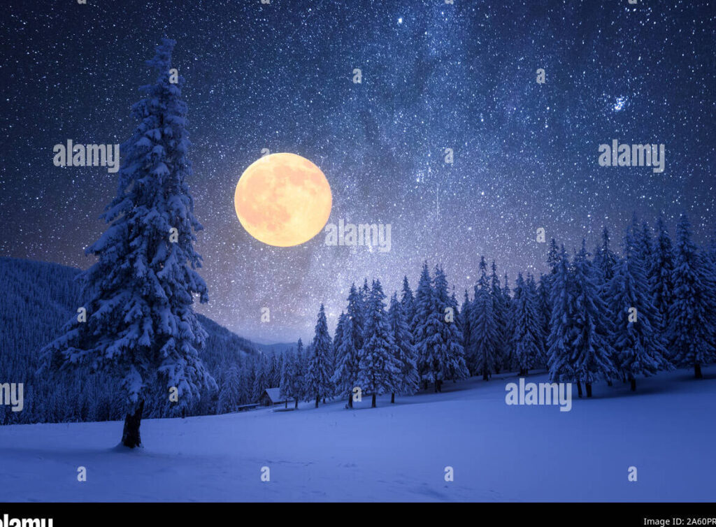 una imagen nocturna de un paisaje invernal con la luna brillando en el cielo y nieve cubriendo el suelo