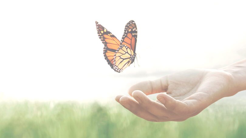 Sanando el corazón: superando la pérdida de un ser querido a los 6 meses