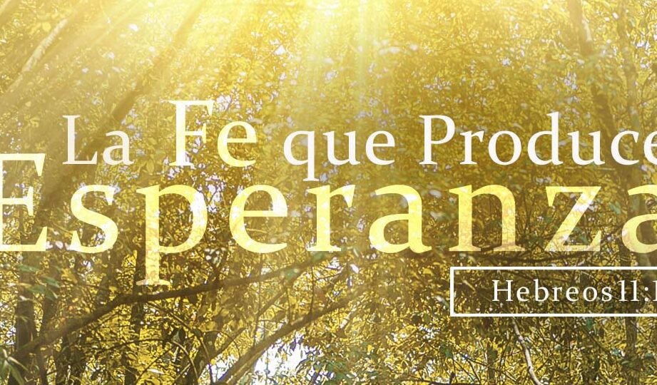 Consuelo divino: Las palabras de Dios para un enfermo 5 Consuelo divino: Las palabras de Dios para un enfermo