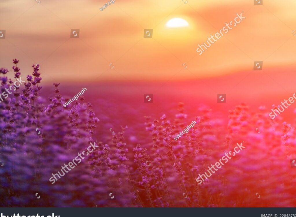 Agradecimientos a Dios: Reflexiones para valorar cada momento 4 Agradecimientos a Dios: Reflexiones para valorar cada momento