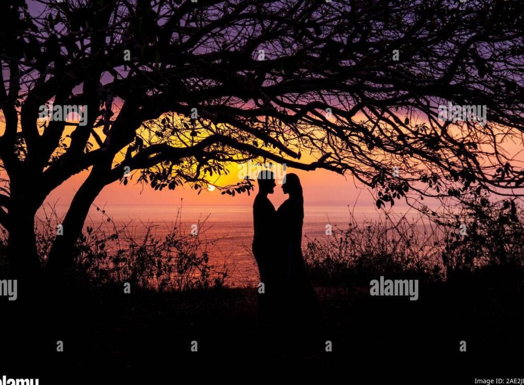 Descubre cómo encontrar compañía en la soledad del amor