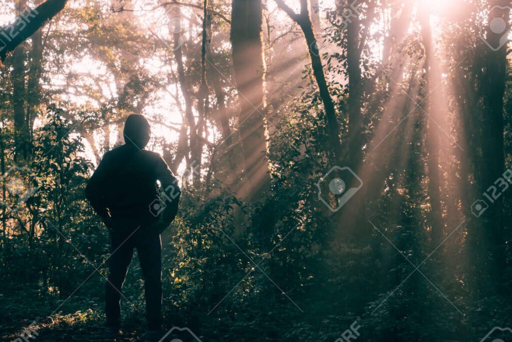 La fuerza interior que te impulsa a seguir adelante: Descúbrela ahora 5 La fuerza interior que te impulsa a seguir adelante: Descúbrela ahora