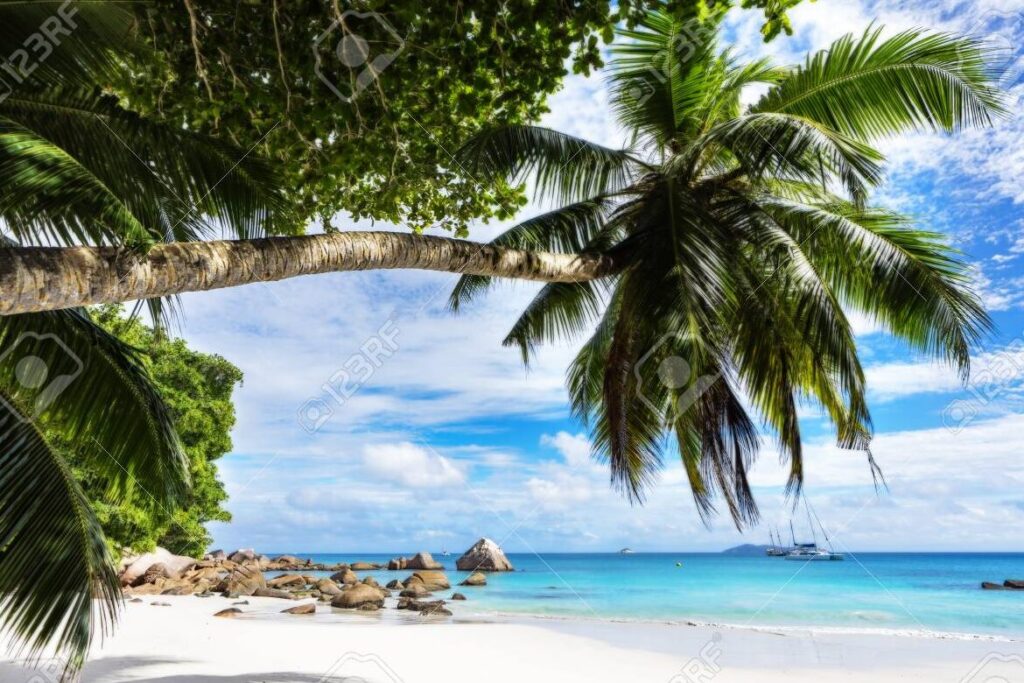 una playa paradisiaca con aguas turquesas y palmeras